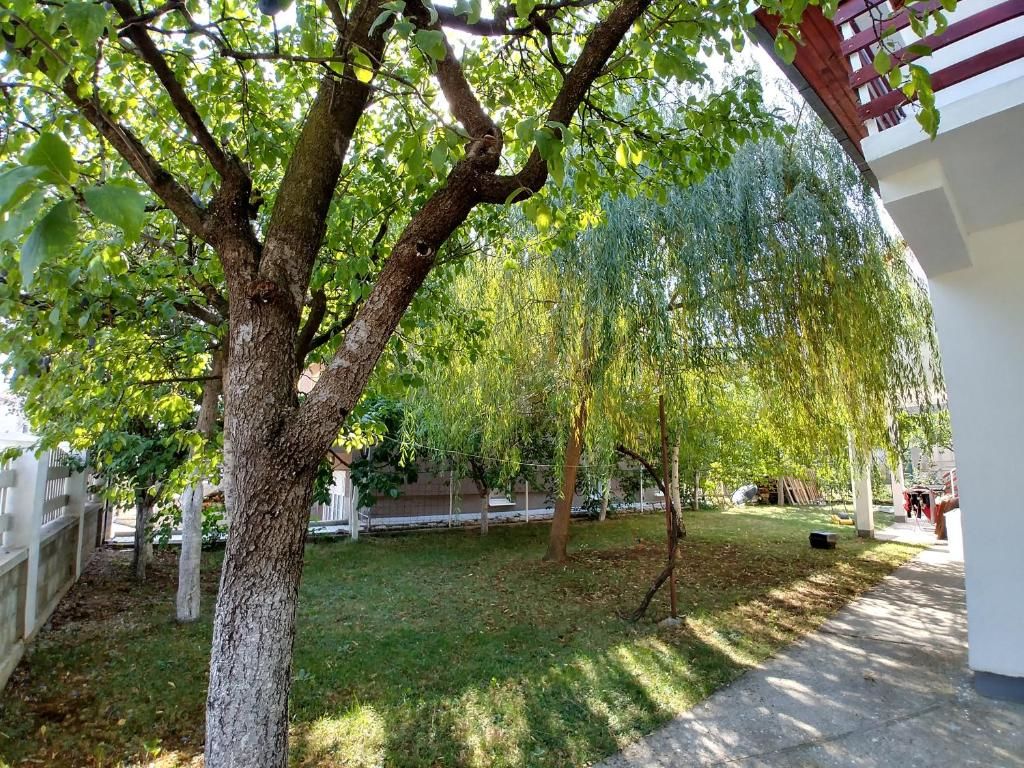 Апартаменты Forest Apartment Никшич-28