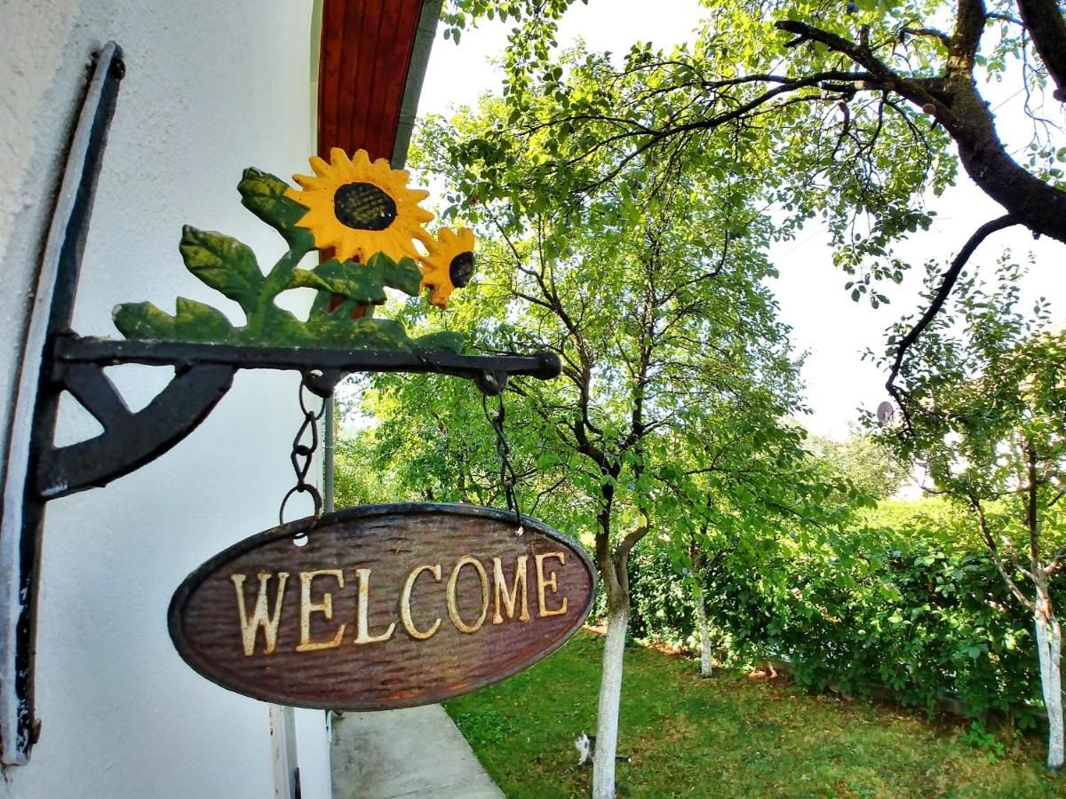 Апартаменты Forest Apartment Никшич-6